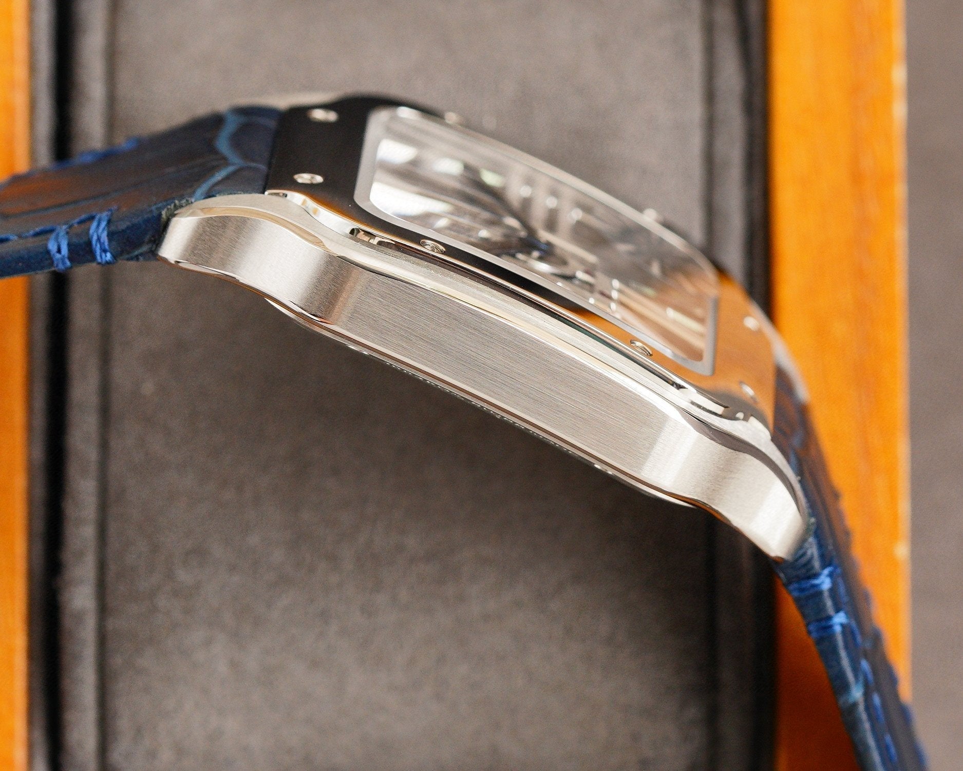 SANTOS STEEL CASE  SKELETON