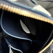 BOTTEGA VENETA 25S CONCERT POUCH 18 IN ZEBRA PATTERN CALFSKIN GOLD HARDWARE