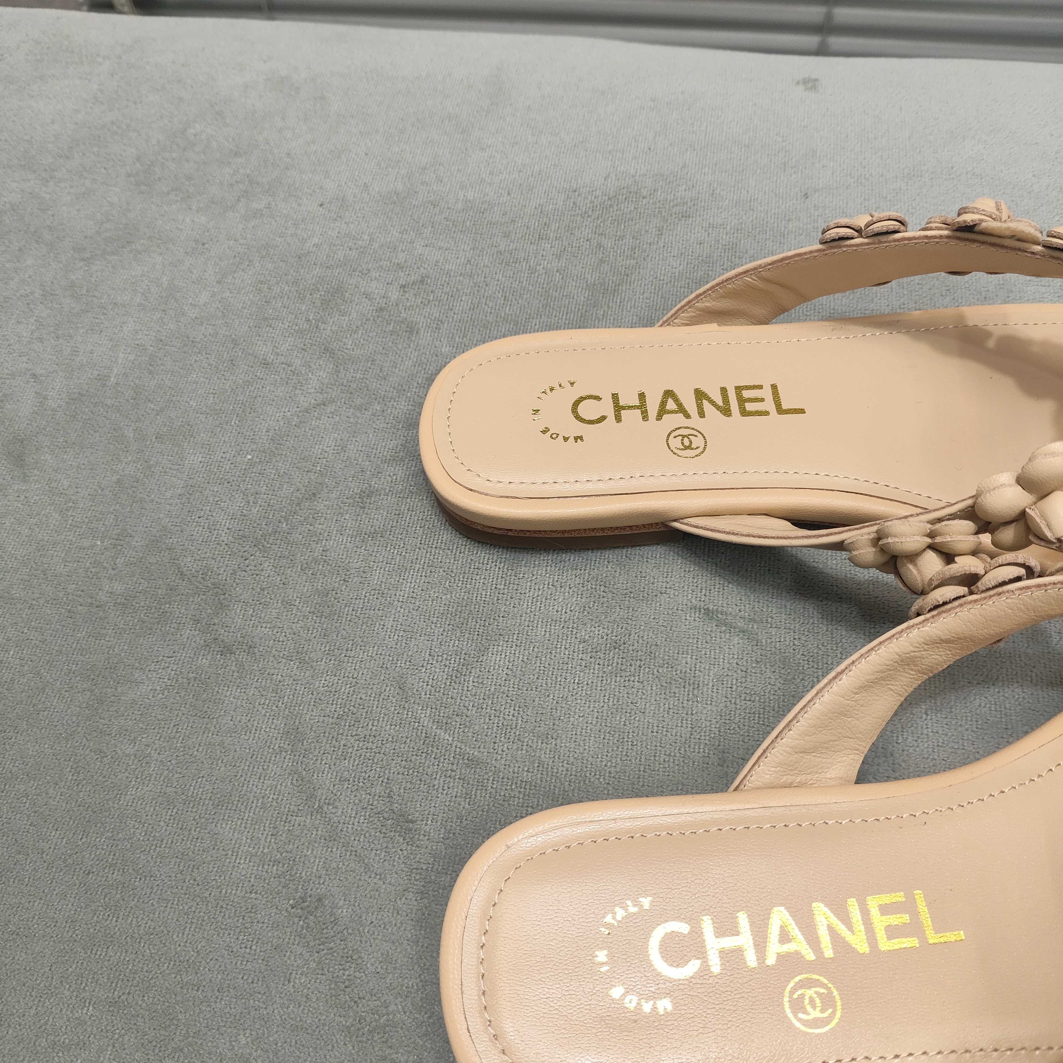 THONG SLIPPERS CAMELLIA IN BEIGE CALFSKIN